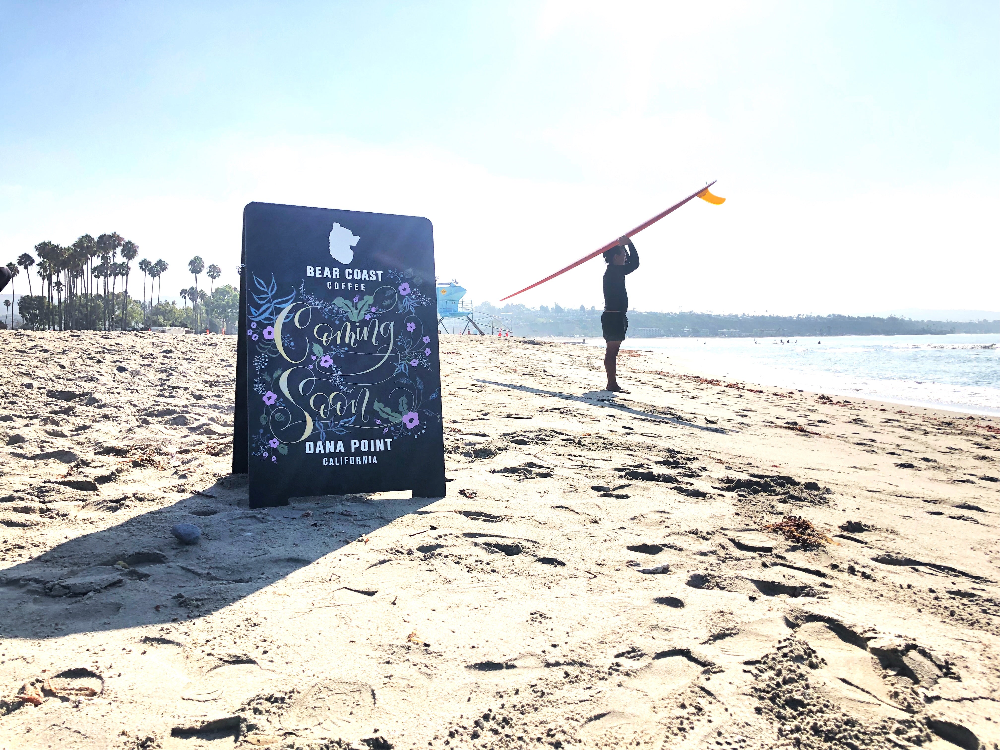 Bear Coast Coffee (Dana Point) photo 10