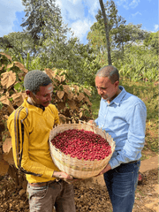 Single Origin - Guji - Ethiopia - Organic (Formally Ardi)