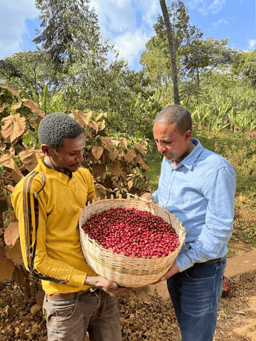 Single Origin - Guji - Ethiopia - Organic (Formally Ardi)