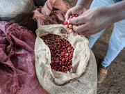 Koke Honey - Ethiopia